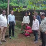 वृक्षारोपण