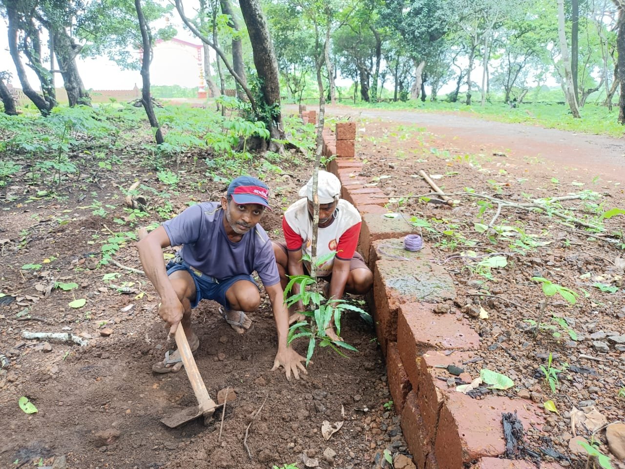 वृक्षारोपण 2